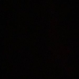 Meet your Posher, Ernesto